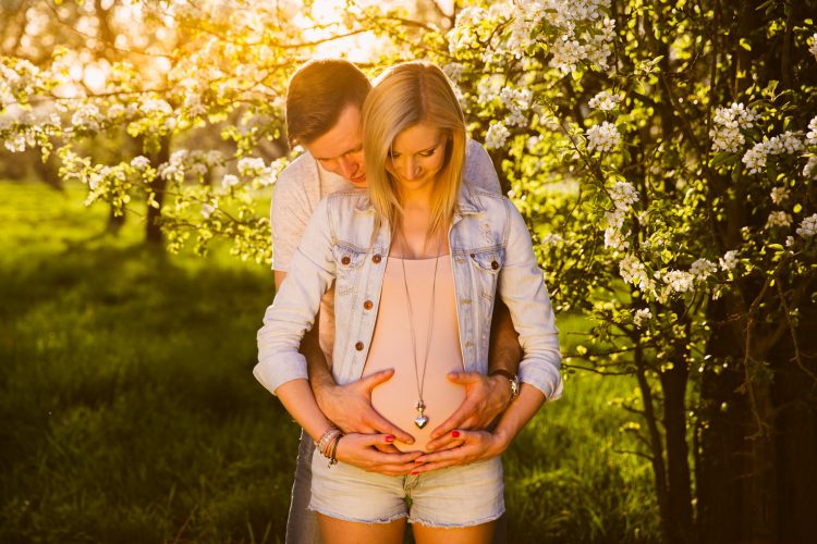 maternity photo session bloom tree